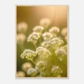 Tableau nature "Gypsophile"